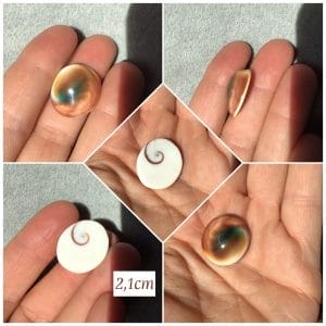 Oeil de sainte lucie pour porte monnaie